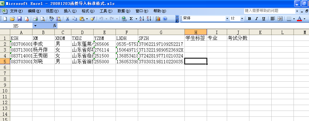 excel文件格式